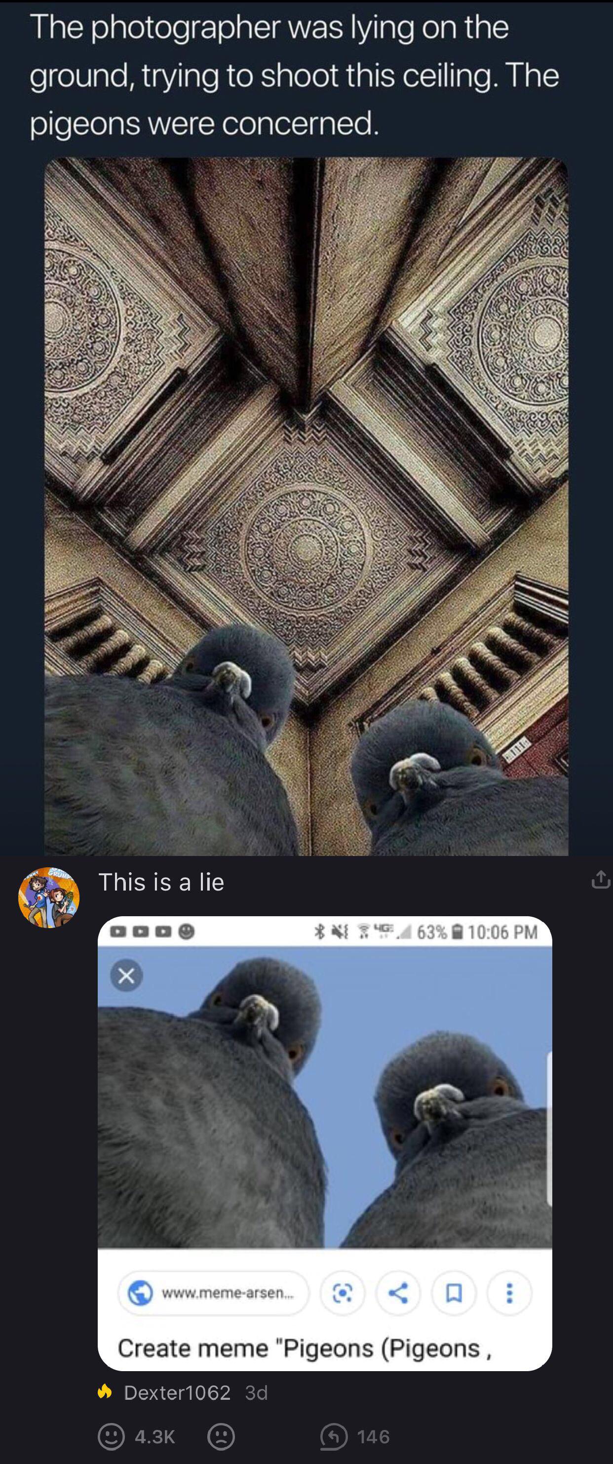last thing a bread sees - The photographer was lying on the ground, trying to shoot this ceiling. The pigeons were concerned, This is a lie 16 06 Pm Create meme Pigeons Pigeons, Dectar1062 3d @ @