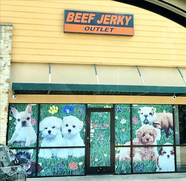 wtf window - Beef Jerky Outlet