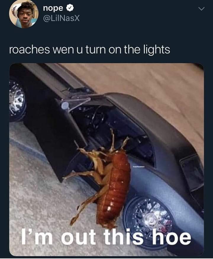 roaches when the lights come on meme - nope roaches wen u turn on the lights I'm out this hoe