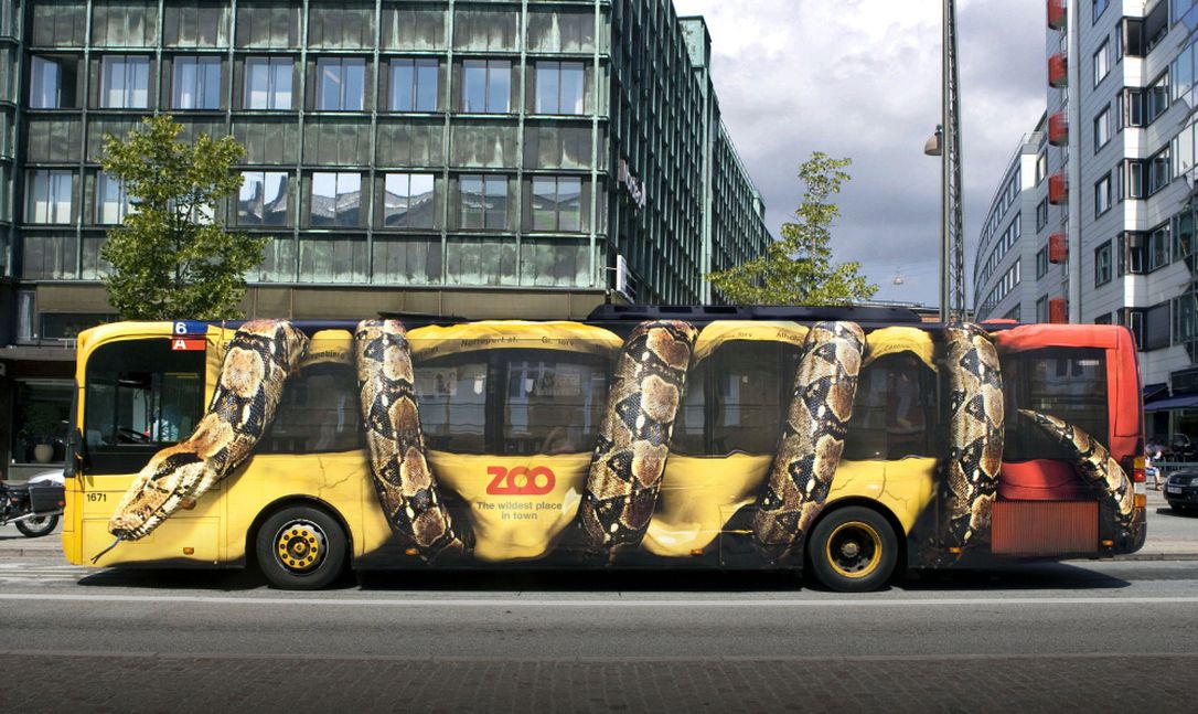 snake bus wrap - 200 The wildest place in town
