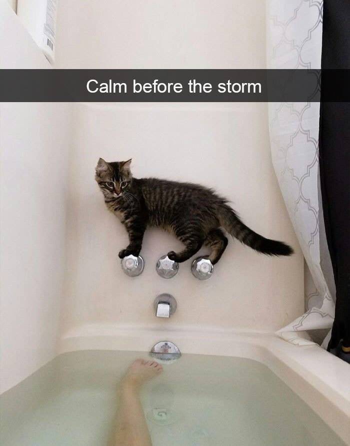 right before disaster - Calm before the storm