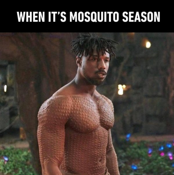 black panther michael b jordan - When It'S Mosquito Season