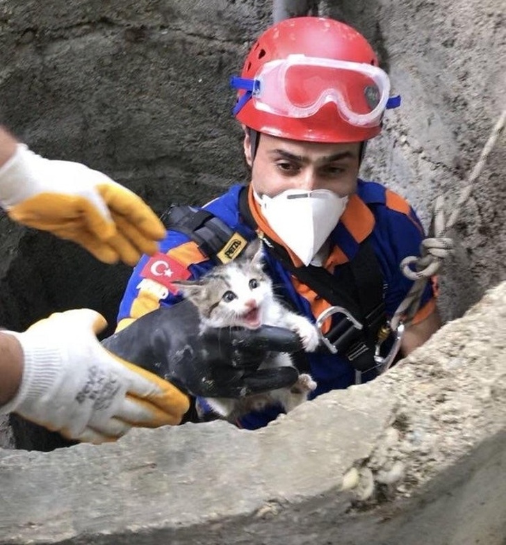 Rescuing a kitten from a 50 foot well.