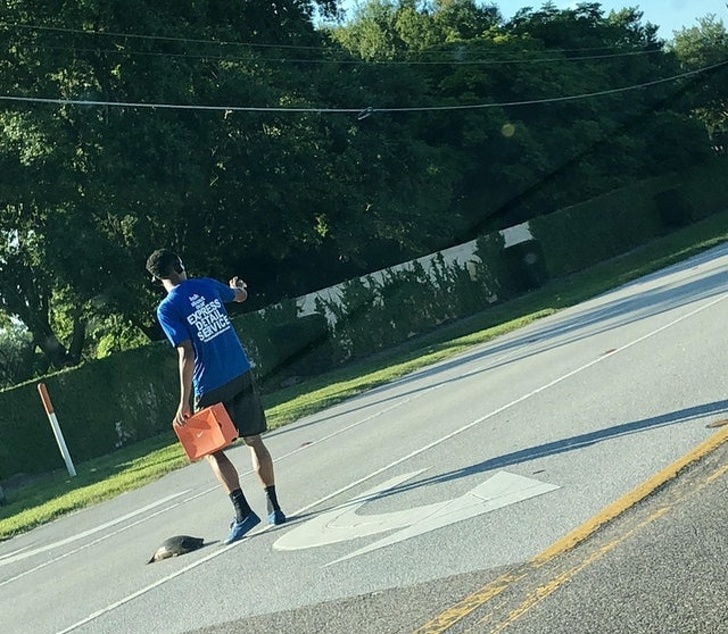 Guy helps turtle cross the road.