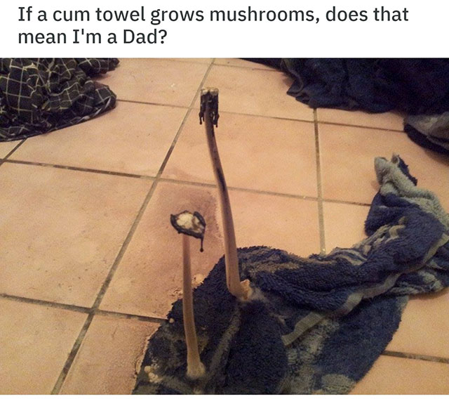cum towel mushrooms - If a cum towel grows mushrooms, does that mean I'm a Dad?