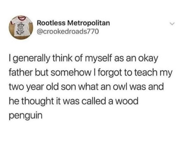 document - Rootless Metropolitan I generally think of myself as an okay father but somehow I forgot to teach my two year old son what an owl was and he thought it was called a wood penguin