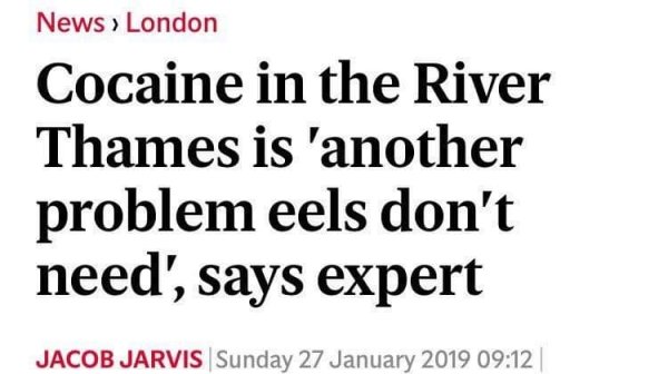 cbse moderation policy 2019 - News > London Cocaine in the River Thames is 'another problem eels don't need', says expert Jacob Jarvis Sunday