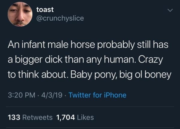 moon is a lesbian - toast An infant male horse probably still has a bigger dick than any human. Crazy to think about. Baby pony, big ol boney 4319 . Twitter for iPhone 133 1,704
