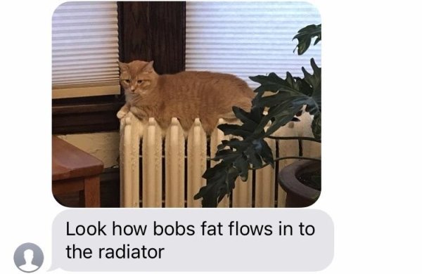 look how bobs fat flows into the radiator - Look how bobs fat flows in to the radiator
