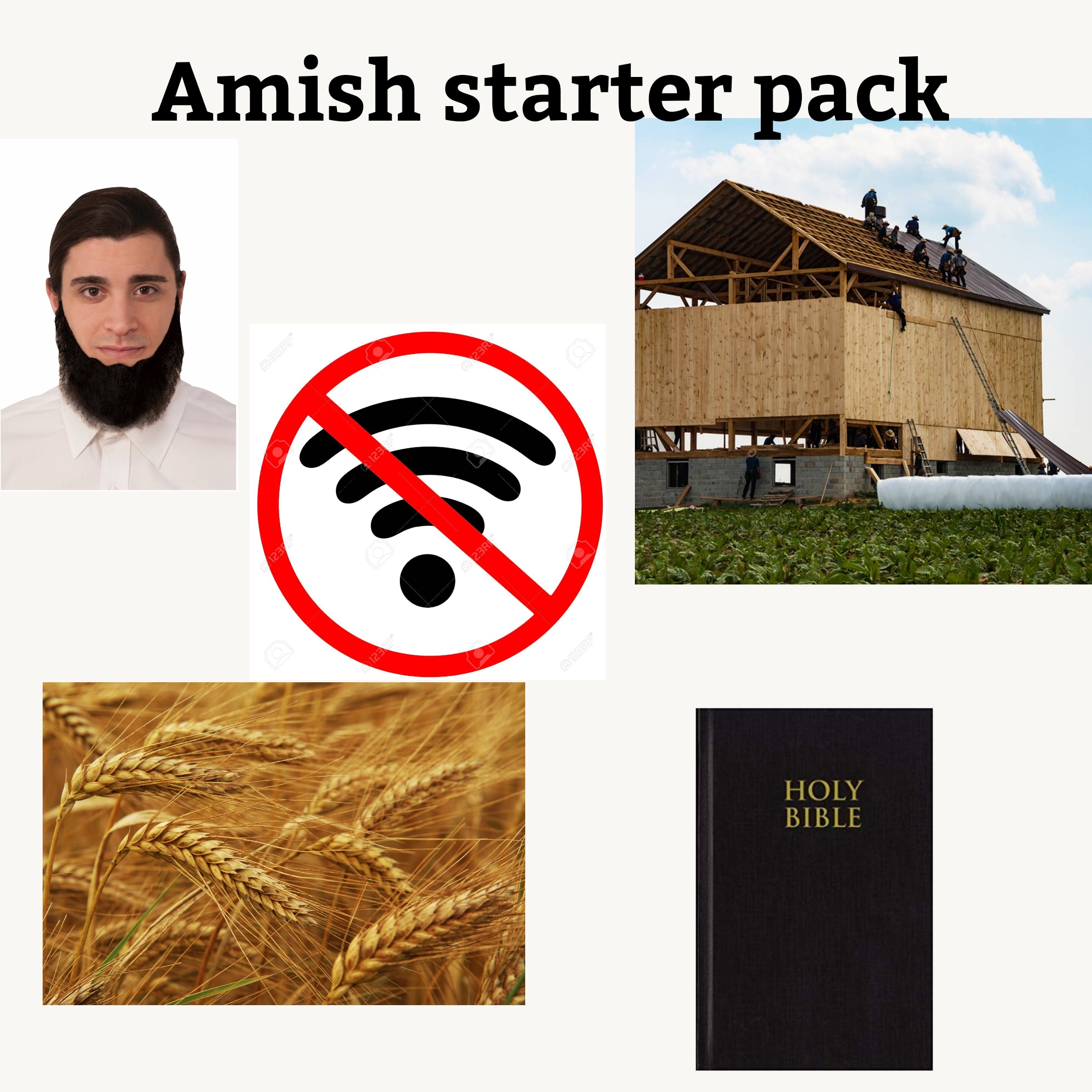 amish starter pack - Amish starter pack Holy Bible