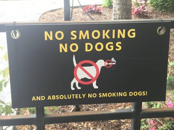 no smoking dogs - No Smoking No Dogs And Absolutely No Smoking Dogs!