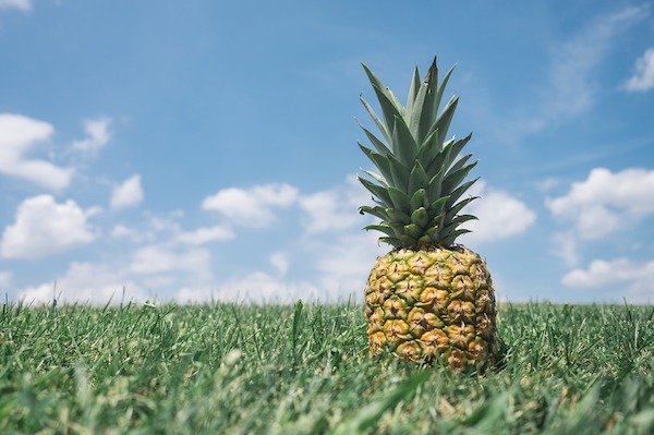 A pineapple is actually made up of a group of berries fused together.