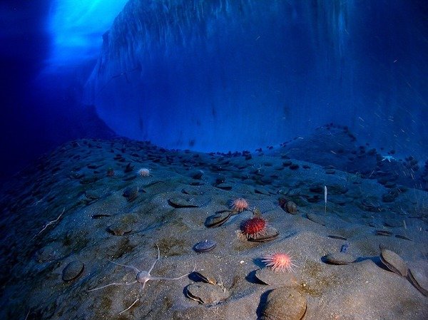 Over 90% of the ocean floor is unexplored.