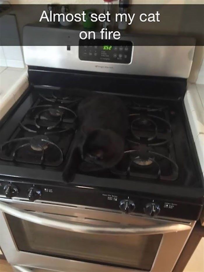 meme black cat on stove - Almost set my cat on fire