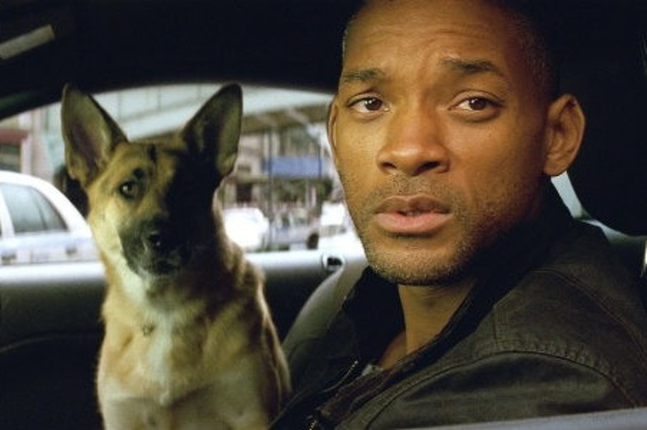 Will Smith tried adopting the dog from I Am Legend but the trainer wouldn't give her up.