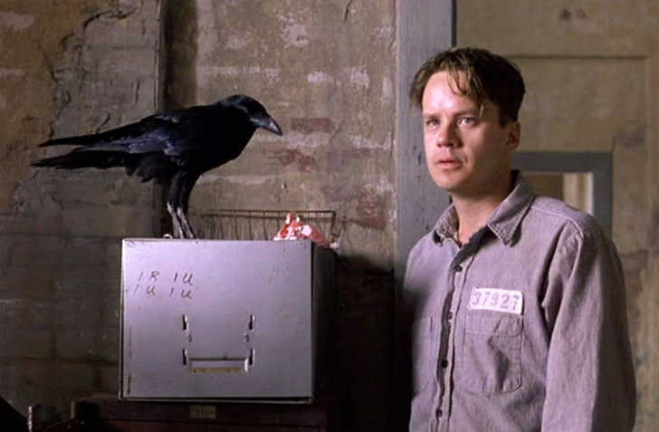 Tim Robbins had to time his lines to prevent Jake the crow from squawking over him.