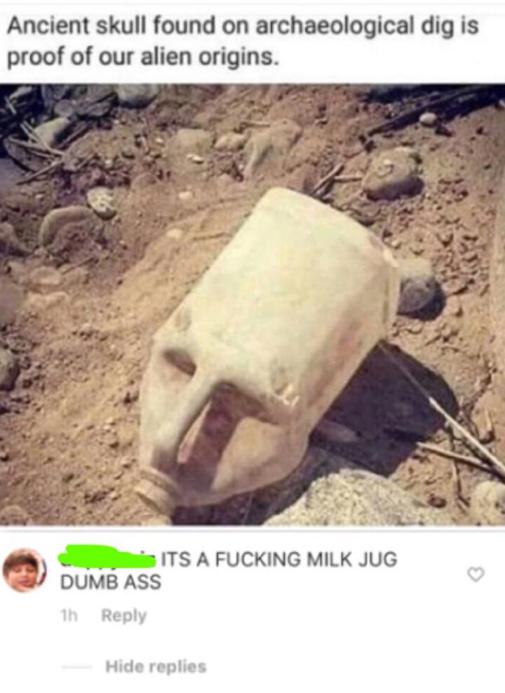 missed - alien skull funny - Ancient skull found on archaeological dig is proof of our alien origins. S Its A Fucking Milk Jug Dumb Ass 1h Hide replies