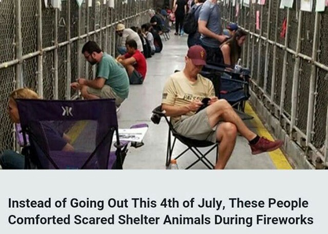 Instead of Going Out This 4th of July, These People Comforted Scared Shelter Animals During Fireworks