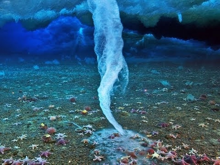 This is a brinicle, an ice stalactite.