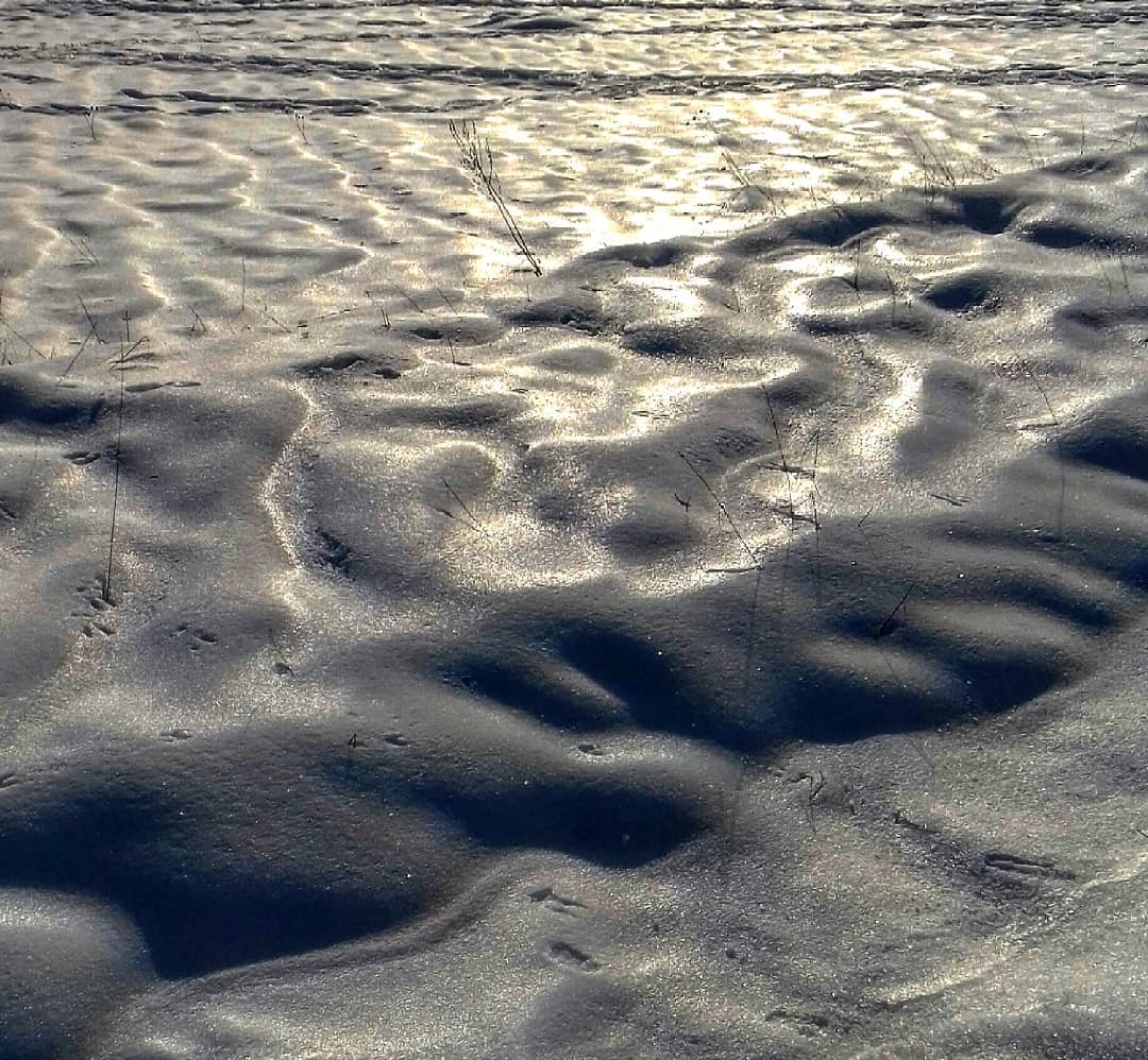 Little waves of snow got covered in glossy ice.