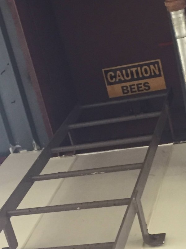 caution sign - Caution Bees