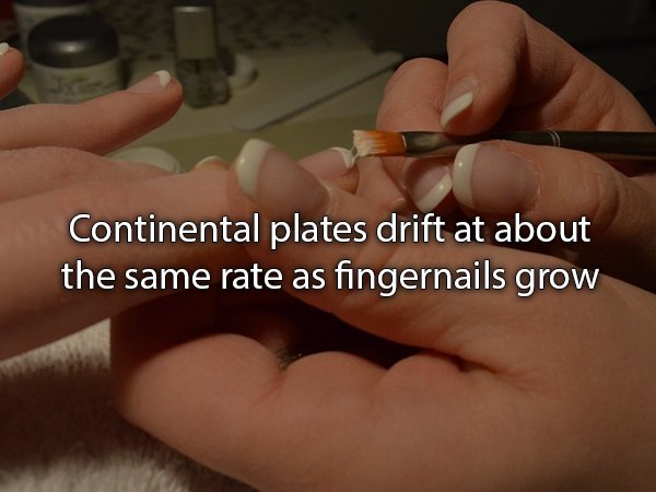 Continental plates drift at about the same rate as fingernails grow