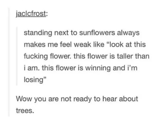 document - jaclcfrost standing next to sunflowers always makes me feel weak "look at this fucking flower. this flower is taller than i am. this flower is winning and i'm losing" Wow you are not ready to hear about trees.