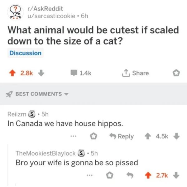 number - rAskReddit usarcasticookie. 6h What animal would be cutest if scaled down to the size of a cat? Discussion 1 Best Reiizm 3.5h In Canada we have house hippos. ... The MookiestBlaylock S.5h Bro your wife is gonna be so pissed ...