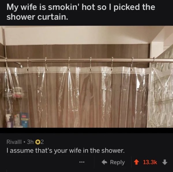 best clapbacks - My wife is smokin' hot so I picked the shower curtain. Rivalll . 3h 2 Tassume that's your wife in the shower.