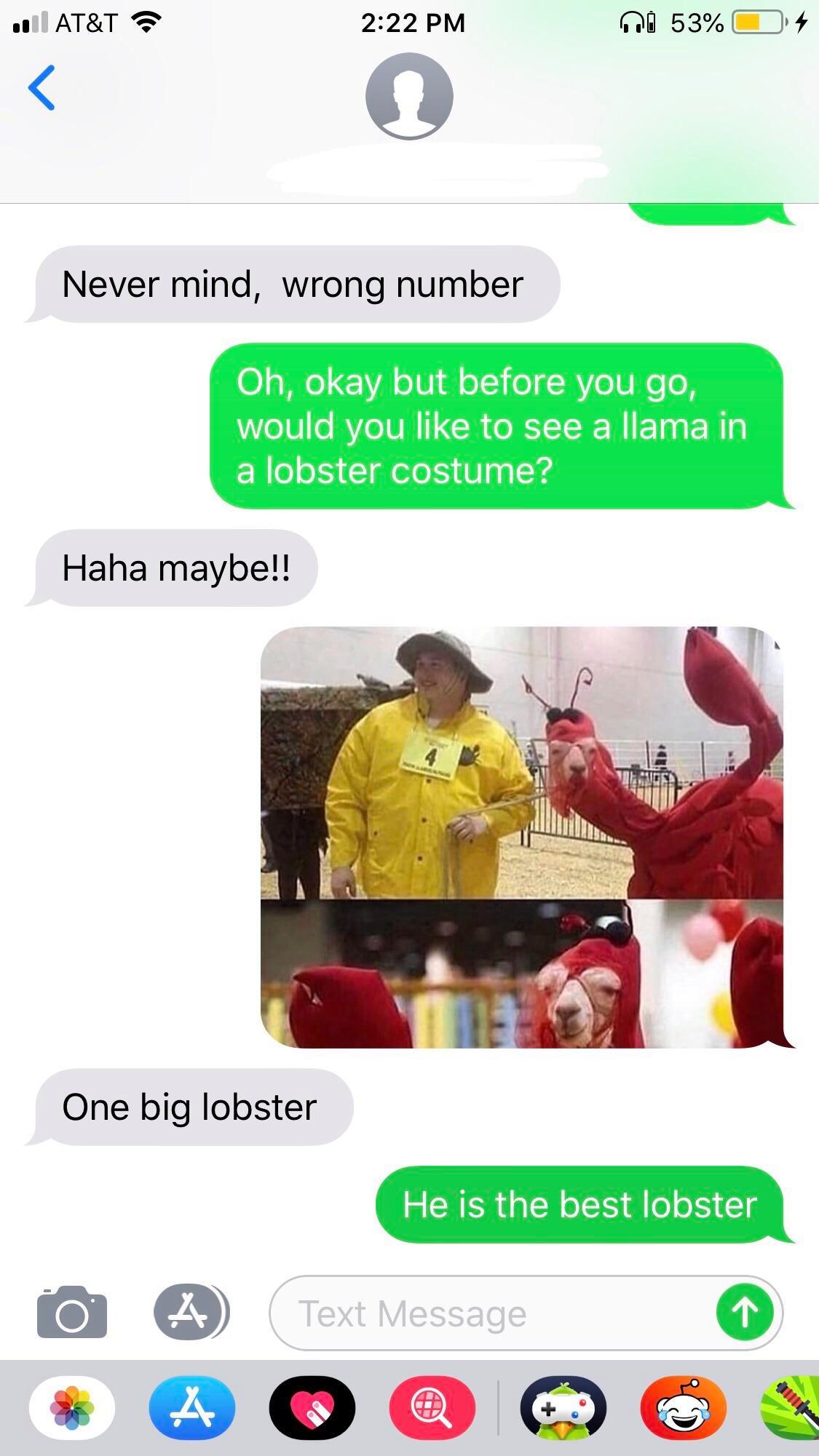 wrong number text message with link - 11 At&T o ni 53% 4 Never mind, wrong number Oh, okay but before you go, would you to see a llama in a lobster costume? Haha maybe!! One big lobster He is the best lobster Text Message