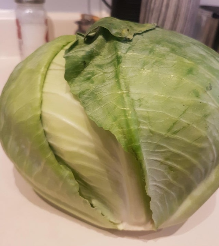 “I asked my bf to grab lettuce on his way home.”