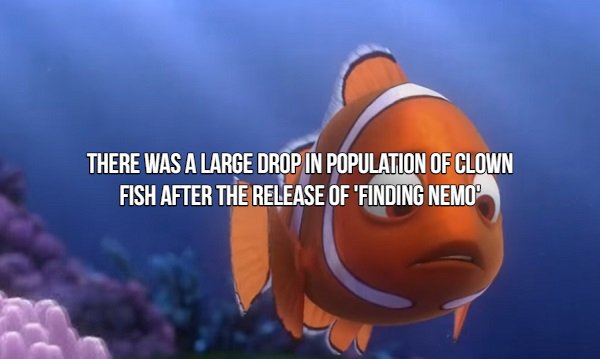 Movie Fact about Finding Nemo - There Was A Large Drop In Population Of Clown Fish After The Release Of 'Finding Nemo