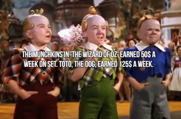 Movie Fact that says wizard of oz munchkins - Themunchkins In The Wizard Of Oz' Earned 50$ A Week On Set. Toto, The Dog, Earned 125$ A Week.