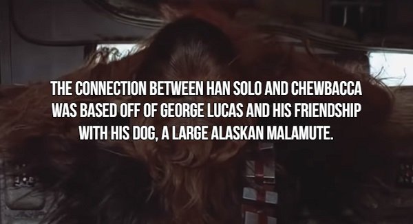 Movie Fact that says call back - 92 The Connection Between Han Solo And Chewbacca Was Based Off Of George Lucas And His Friendship With His Dog. A Large Alaskan Malamute.