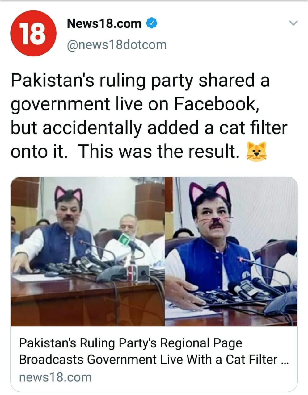 media - 18 News18.com Pakistan's ruling party d a government live on Facebook but accidentally added a cat filter onto it. This was the result. i Pakistan's Ruling Party's Regional Page Broadcasts Government Live With a Cat Filter ... news18.com