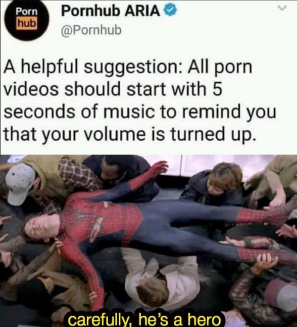 good ol memes - Porn hub Pornhub Aria A helpful suggestion All porn videos should start with 5 seconds of music to remind you that your volume is turned up. carefully, he's a hero