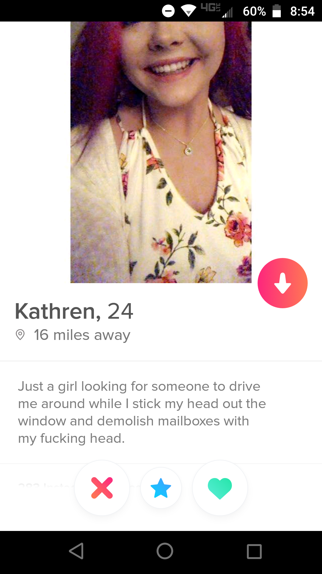 Shameless Tinder profile that says Just a girl looking for someone to drive me around while I stick my head out the window and demolish mailboxes with my fucking head. X