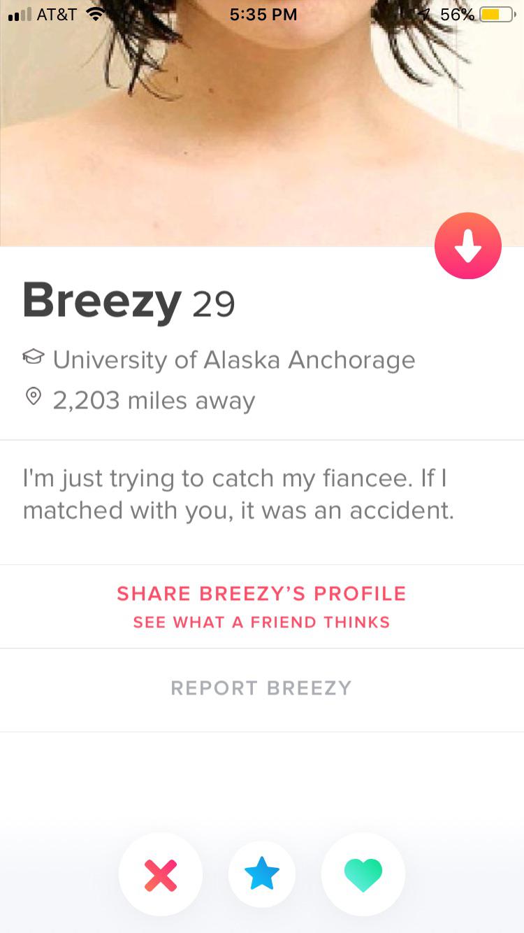 Shameless Tinder profile that says I'm just trying to catch my fiancee. If | matched with you, it was an accident. Breezy'S Profile See What A Friend Thinks Report Breezy