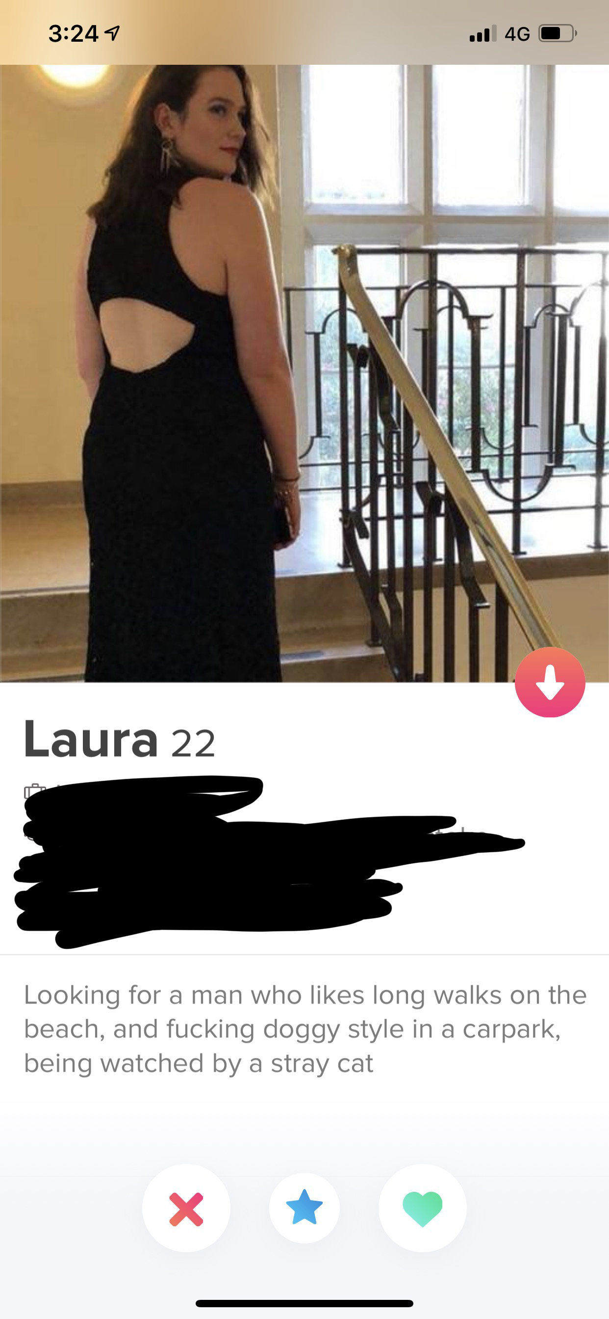 Shameless Tinder profile that says Looking for a man who long walks on the beach, and fucking doggy style in a carpark being watched by a stray cat