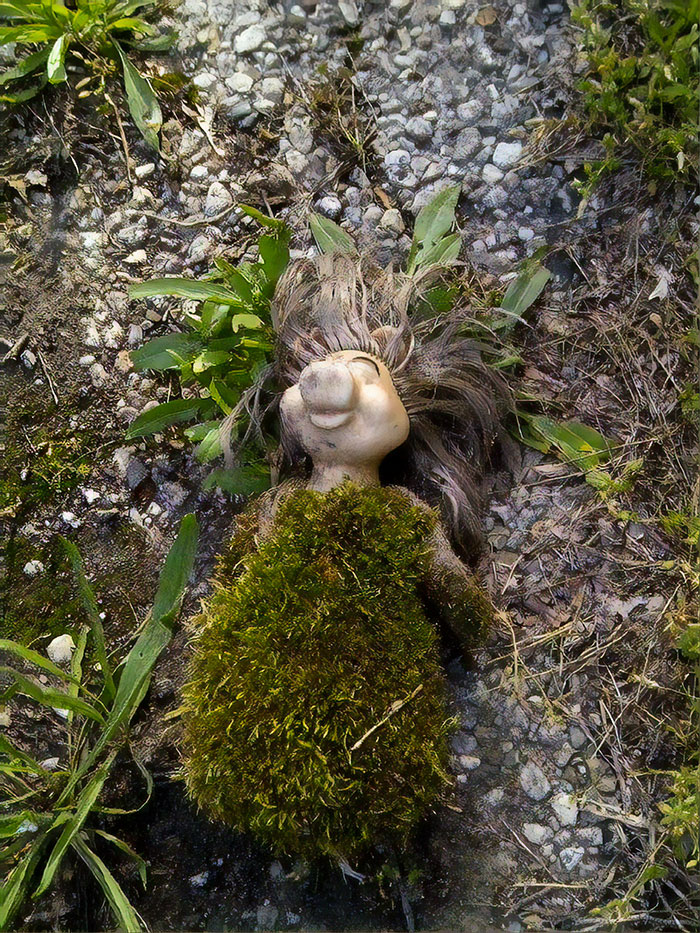 miss piggy covered in moss