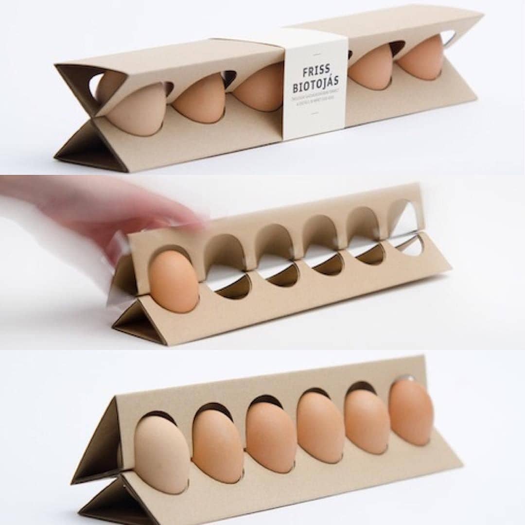 egg carton designs