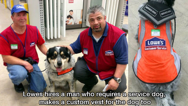 dog with employees lowes - Service Dog Service Dog Lowe'S Customer Service Lowes hires a man who requires a service dog, makes a custom vest for the dog too