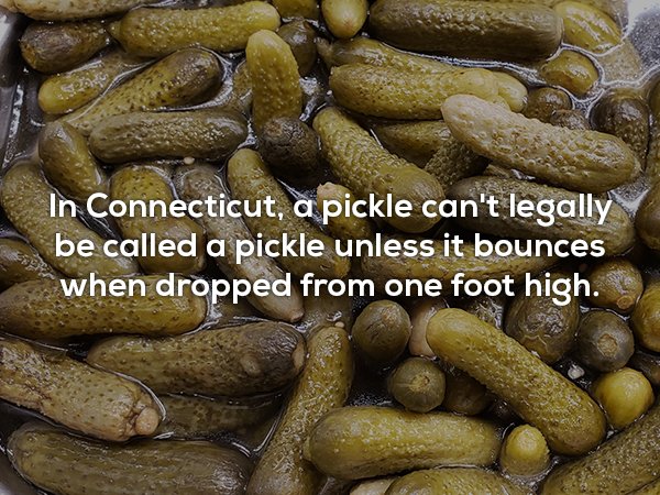 gherkin - In Connecticut, a pickle can't legally be called a pickle unless it bounces when dropped from one foot high.