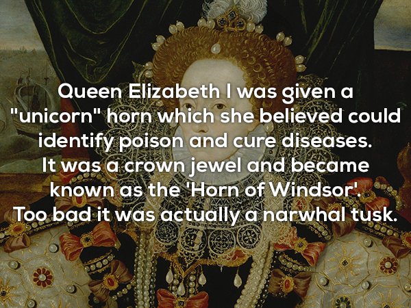 elizabethan era - Queen Elizabeth I was given a "unicorn" horn which she believed could identify poison and cure diseases. It was a crown jewel and became known as the 'Horn of Windsor! Too bad it was actually a narwhal tusk.