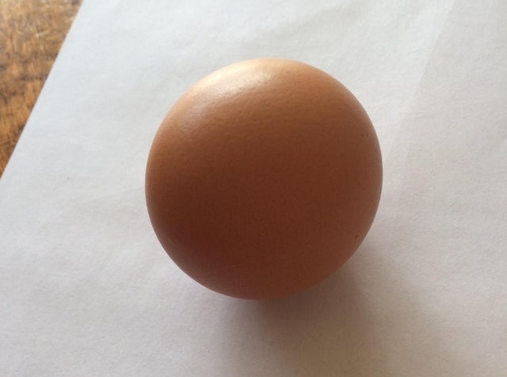 A spherical egg.