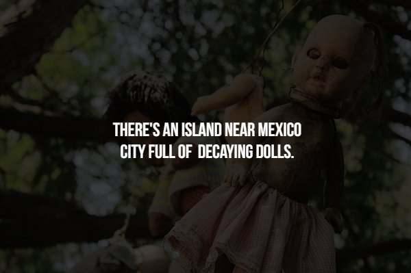 tree - There'S An Island Near Mexico City Full Of Decaying Dolls.