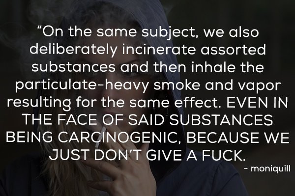 photo caption - "On the same subject, we also deliberately incinerate assorted substances and then inhale the particulateheavy smoke and vapor resulting for the same effect. Even In The Face Of Said Substances Being Carcinogenic, Because We Just Don'T Giv