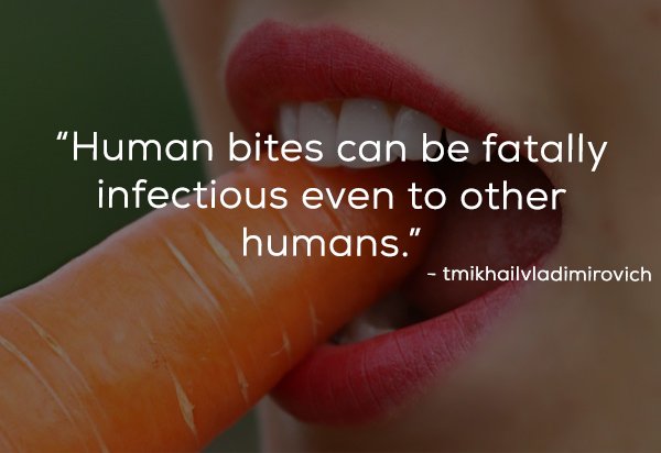 lip - Human bites can be fatally infectious even to other humans." tmikhailvladimirovich