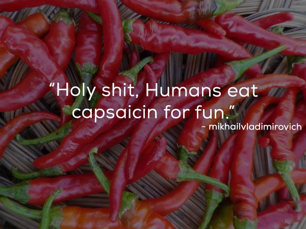 Chili pepper - "Holy shit, Humans eat T capsaicin for fun." mikhailvladimirovich