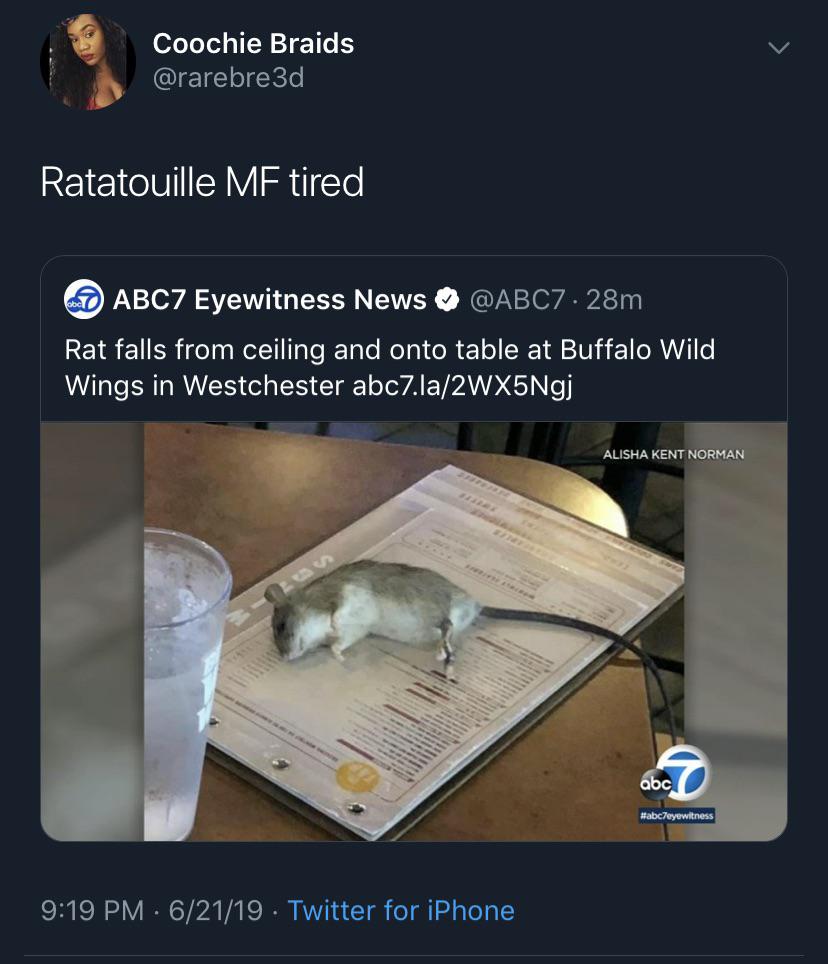 black twitter - Coochie Braids Ratatouille Mf tired ABC7 Eyewitness News  Rat falls from ceiling and onto table at Buffalo Wild Wings in Alisha Kent Norman abc